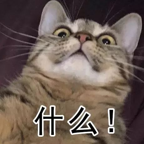 会计刺客（普通话版） 相关产品