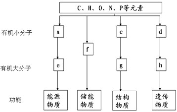 国产卡一卡二 相关产品