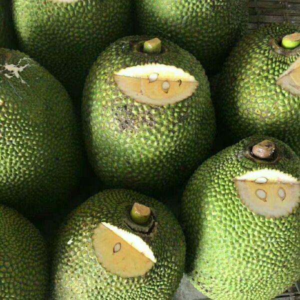 日本精品一卡二卡三卡 跨国法律冲突等变量