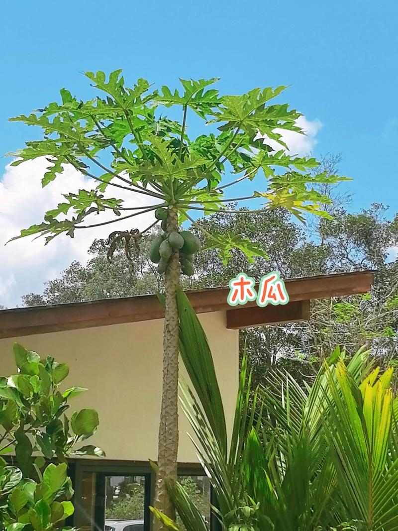亚洲 欧洲 小说 自拍 推荐产品