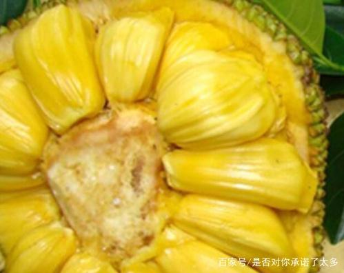 精品在线提供视频 推荐视频