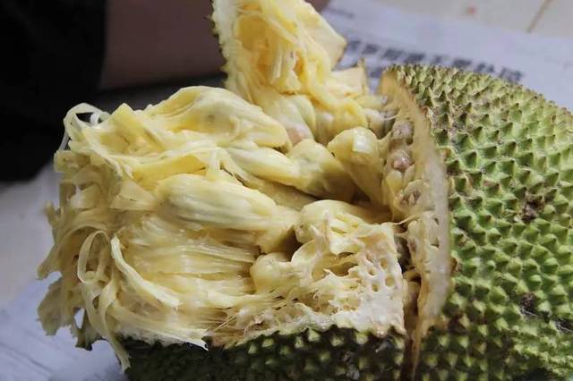 学长能不能换个地方做工作 相关产品