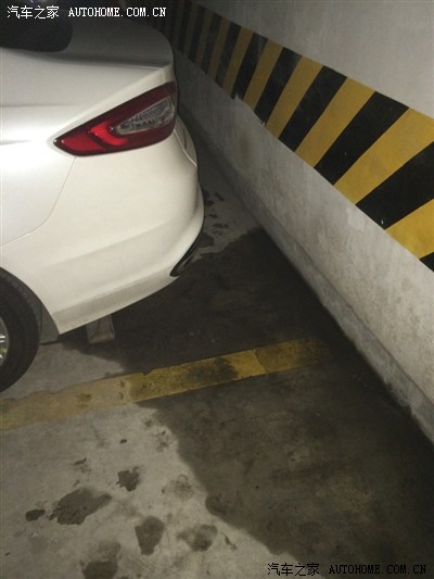 白带 相关产品
