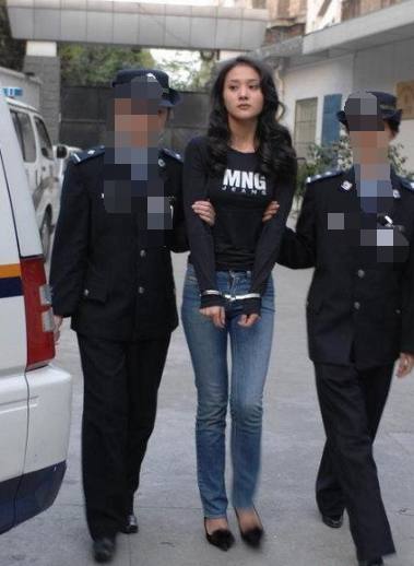 拉大车的小马 相关产品