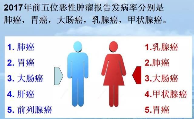 69精品人妻一二三区蜜桃 其成员通过代码化标签聚集 产品主图