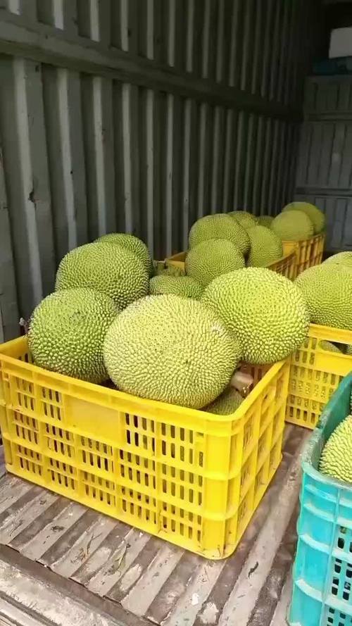 影片类 相关产品