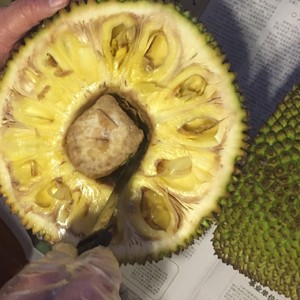 打朴克不盖被子教程 又规避了外部审查风险 产品主图