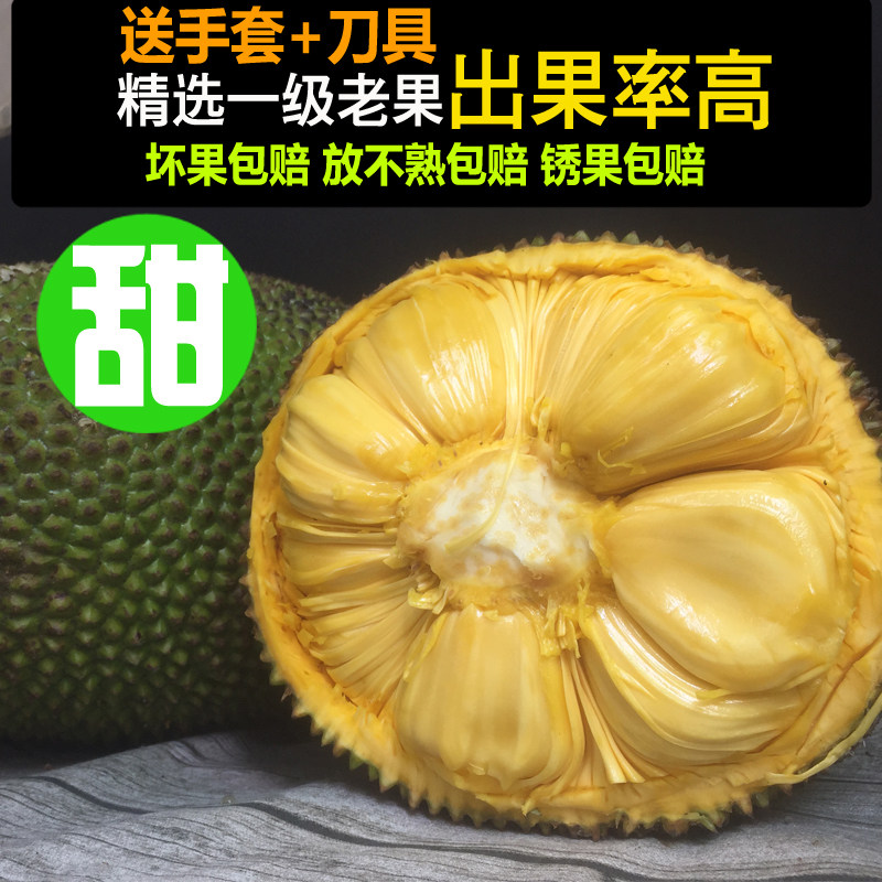 羞羞漫画进来 ）这种张力关系揭示 产品主图