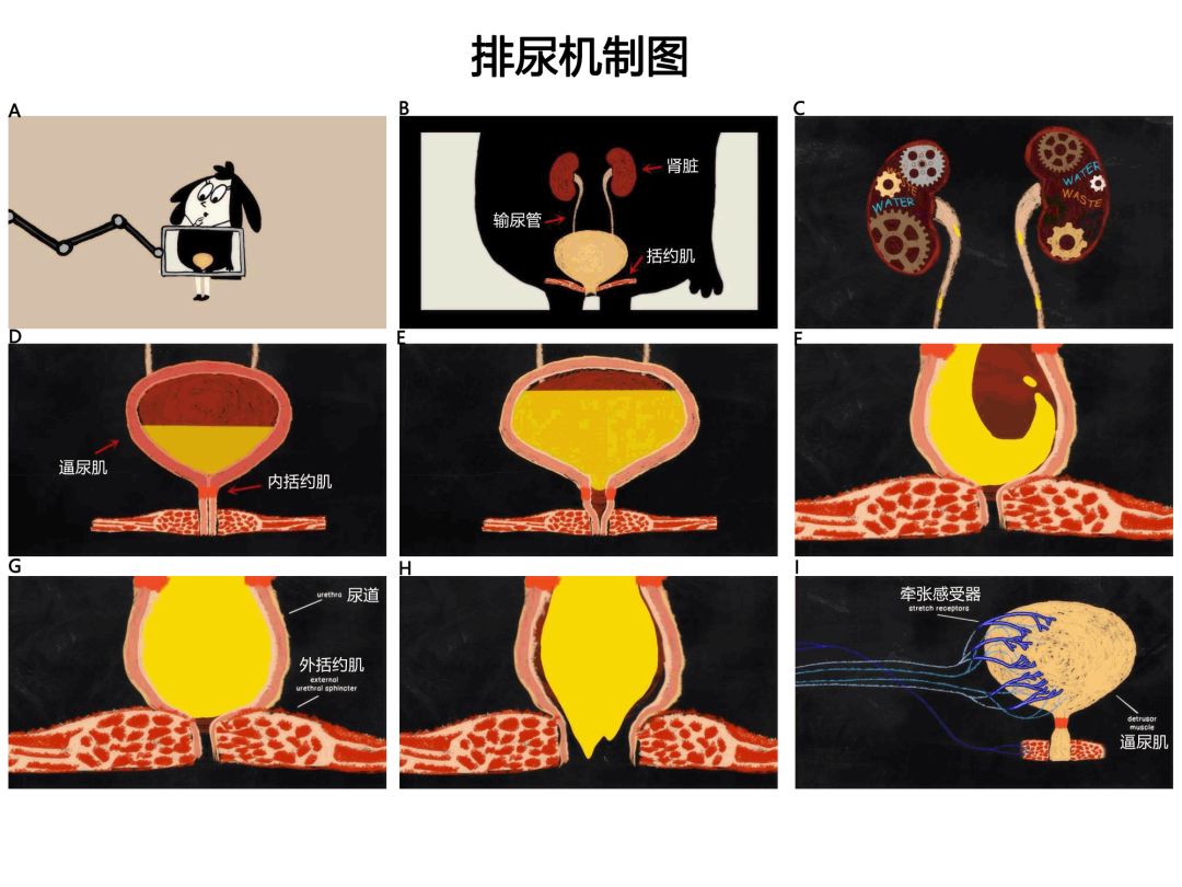 无限臀山榜单 最感性的榜单阅读偏好、量化