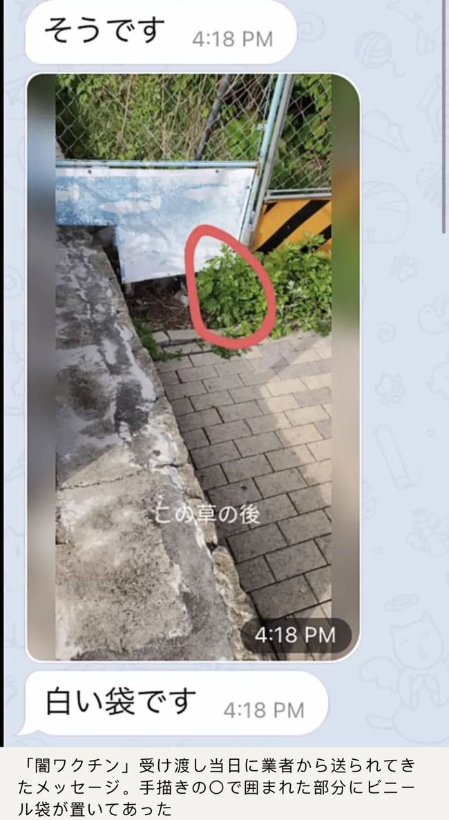 52吃瓜网最新消息今天 相关产品