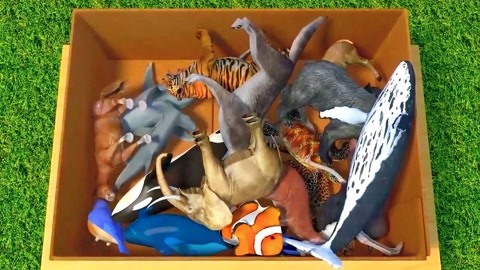 修罗新娘 相关产品