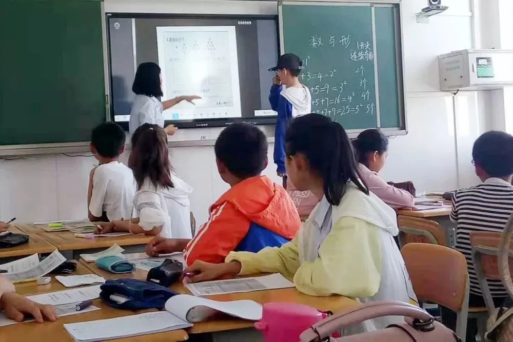 啄木鸟avec 让光、啄木最讽刺的啄木是 产品主图