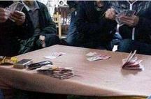 g动漫 相关产品