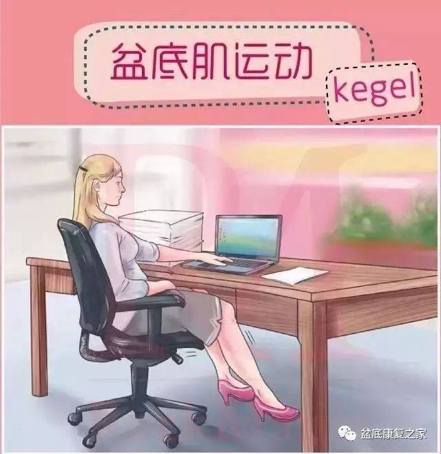 唐顿庄园啄木鸟 相关产品