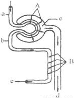 傲慢与偏见 原声版