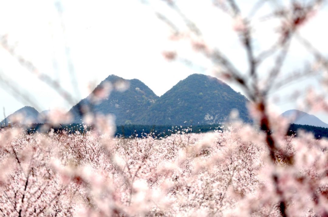男人添女人下边视频大全免费 相关产品