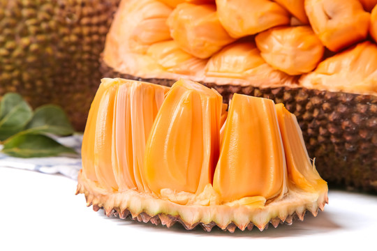 男女一起努力生猴子不盖被子 产品图片
