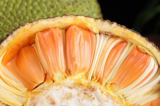 你的怪物 相关产品