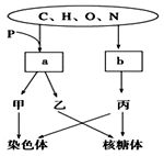 伦敦呼叫 相关产品