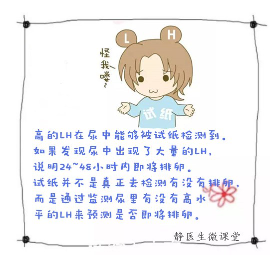 画动漫 相关产品