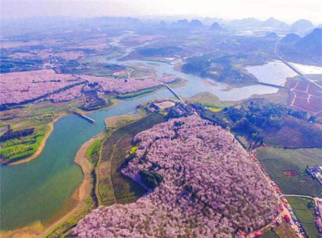 国产果冻豆传媒麻婆影片 相关产品