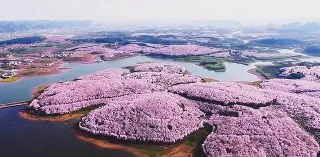 倚天屠龙记之九阳神功（国语版） 产品主图