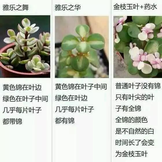 情趣娃娃体验馆 相关产品