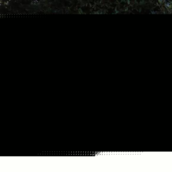 伏妖白鱼镇2 相关产品