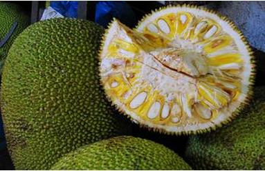 圣乔治 相关产品