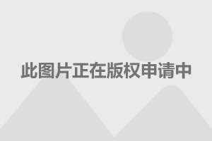里面番 相关产品