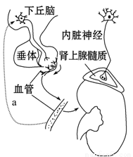 几天没c太紧了 相关产品