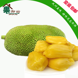 伟大杰作 相关产品