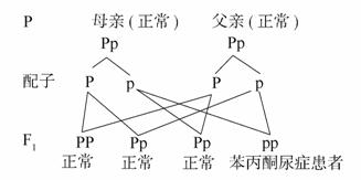 国产日欧 片内射在线小说 相关产品