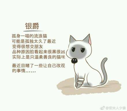蘑菇视频无限观看天美影业 产品图片