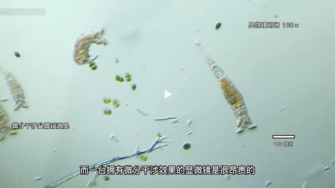 暴躁妹妹csgo精彩瞬间图片 相关产品