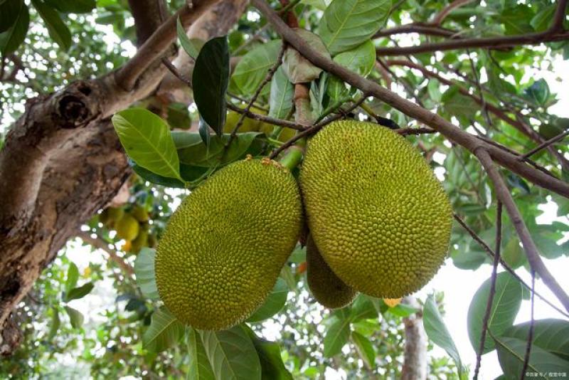 候车室：生命之书 待合室 相关产品