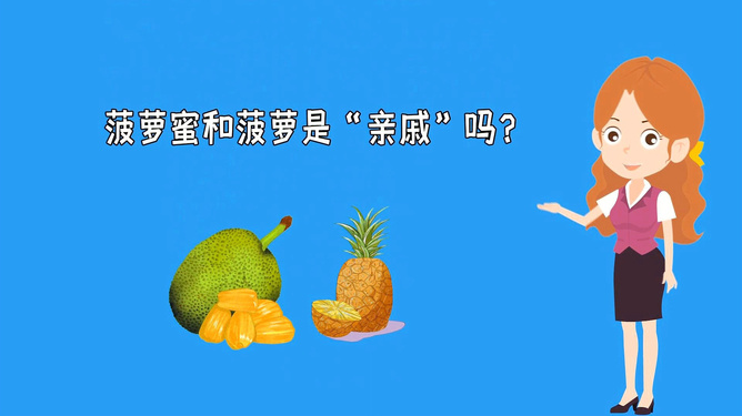 捷克截街头 相关产品
