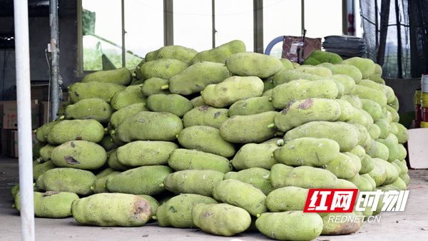 秋葵视频无限次数安卓下载 相关产品