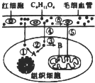 乡下女艳史 相关产品