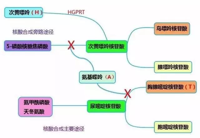 中文无码不卡的岛国片 产品图片