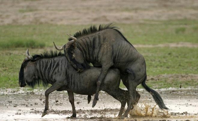黑料网91 相关产品