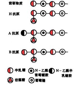 yeI蜜桃色6696 相关产品