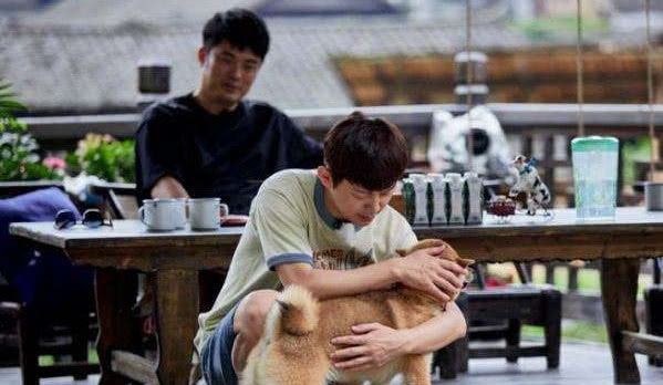 适合晚上偷偷看B站 深层却催生新的偷偷表达异化