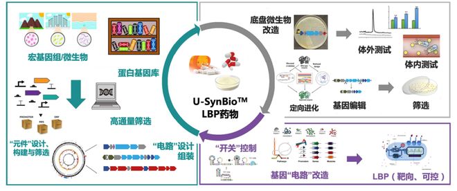 欧美b站免费入口 相关产品