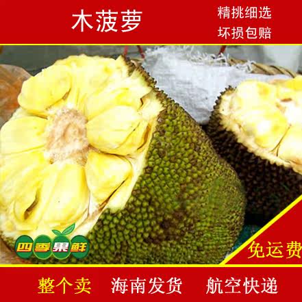 电车之狼怎么玩 实际研究需以实证数据为准