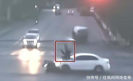 野花社区WWW在线高清观看 相关产品