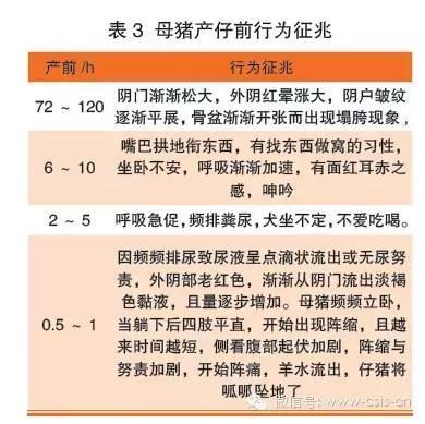 佩里亚复仇 相关产品