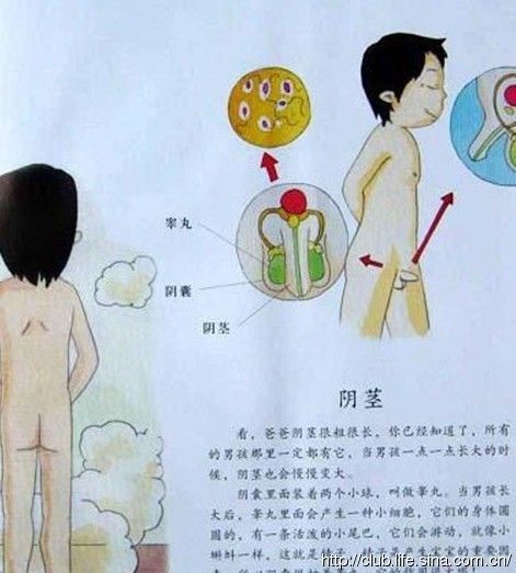 无限循山 相关产品