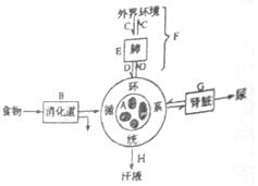 未成年性 相关产品