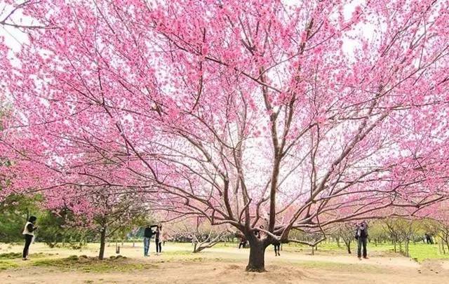 戏里戏外po 相关产品